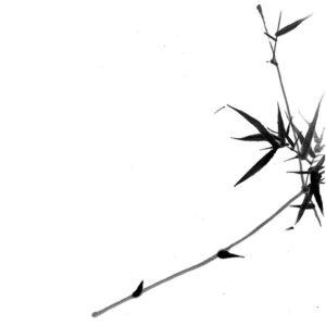 Bamboo branch - Bambuszág - sumi-e