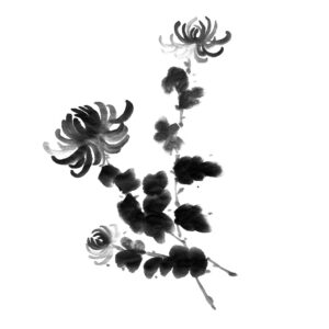 Chrysanthemum No2 - Krizantém sumi-e