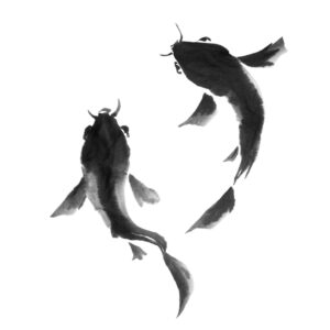 Koi No1 - Japán szerencsehozó díszponty sumi-e