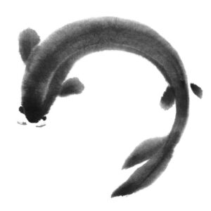 Koi No3 - Japán szerencsehozó díszponty sumi-e