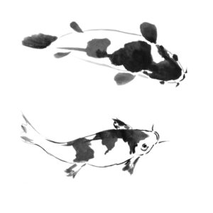 Koi No5 - Japán szerencsehozó díszponty sumi-e