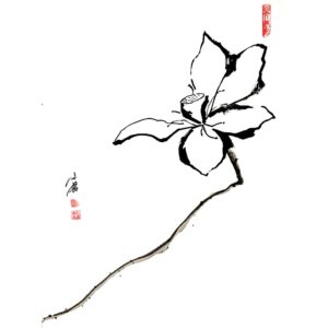 Lotus No2 - Lótusz sumi-e
