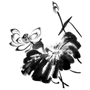 Lotus No3 - Lótusz sumi-e