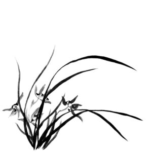 Orchid No13 - Orchidea sumi-e