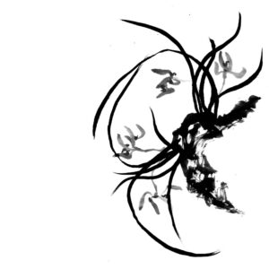 Orchid No3 - Orchidea sumi-e