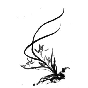 Orchid No4 – Orchidea sumi-e