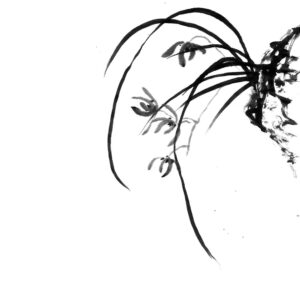 Orchid No5 – Orchidea sumi-e