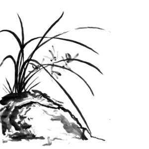 Orchid No6 - Orchidea sumi-e
