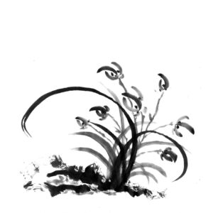Orchid No8 - Orchidea sumi-e