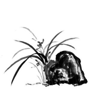 Orchid No9 - Orchidea sumi-e