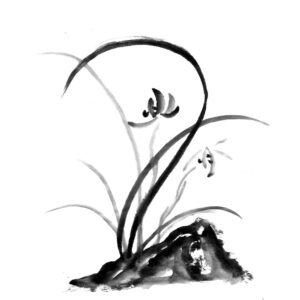 Orchid No10 - Orchidea sumi-e
