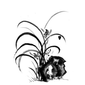 Orchid No11 - Orchidea sumi-e
