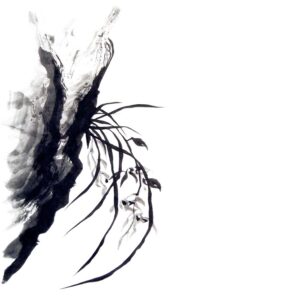 Orchid No12 - Orchidea sumi-e