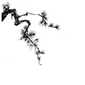 Pine No7 - Fenyő sumi-e
