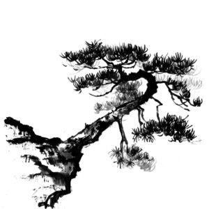 Pine No2 - Fenyő sumi-e