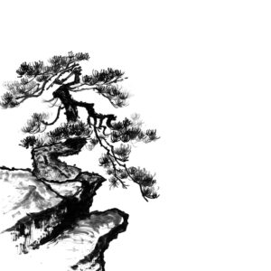 Pine No3 - Fenyő sumi-e