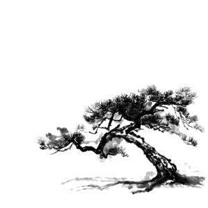 Pine No4 - Fenyő sumi-e