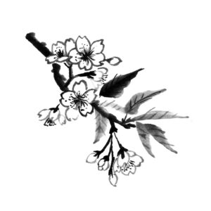 Cherry Blossoms No4 - Sakura - Cseresznyevirág sumi-e
