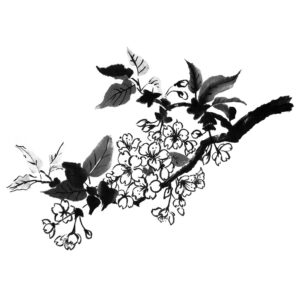 Cherry Blossoms No5 - Sakura - Cseresznyevirág sumi-e
