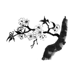 Cherry Blossoms No1 - Sakura - Cseresznyevirág sumi-e