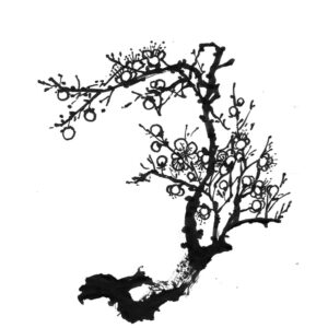 Plum Blossoms No4 - Szilvavirág sumi-e