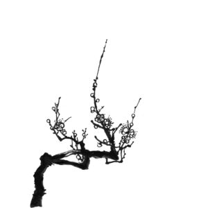 Plum Blossoms No5 - Szilvavirág sumi-e