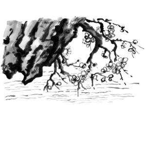 Water No3 with Plum Blossoms - Víz és szilvaág sumi-e